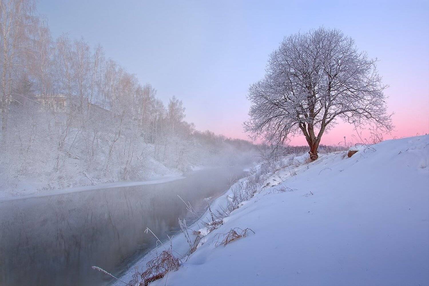 Морозное дыхание утра. Автор: Соболев Игорь Дерево, Зима, Рассвет, Река, Туман, Утро, Соболев Игорь