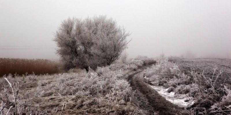 Фрагментальная зима.photo preview