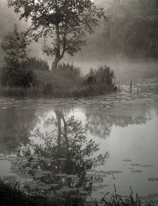 , Александр