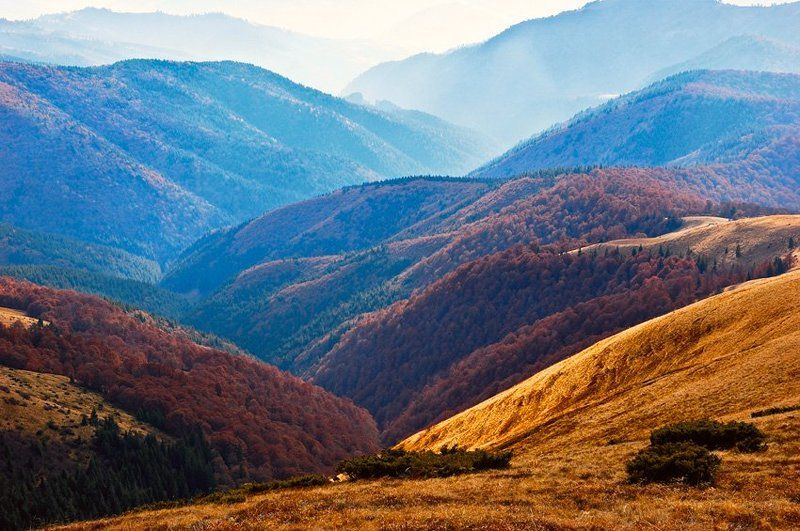 карпати photo preview