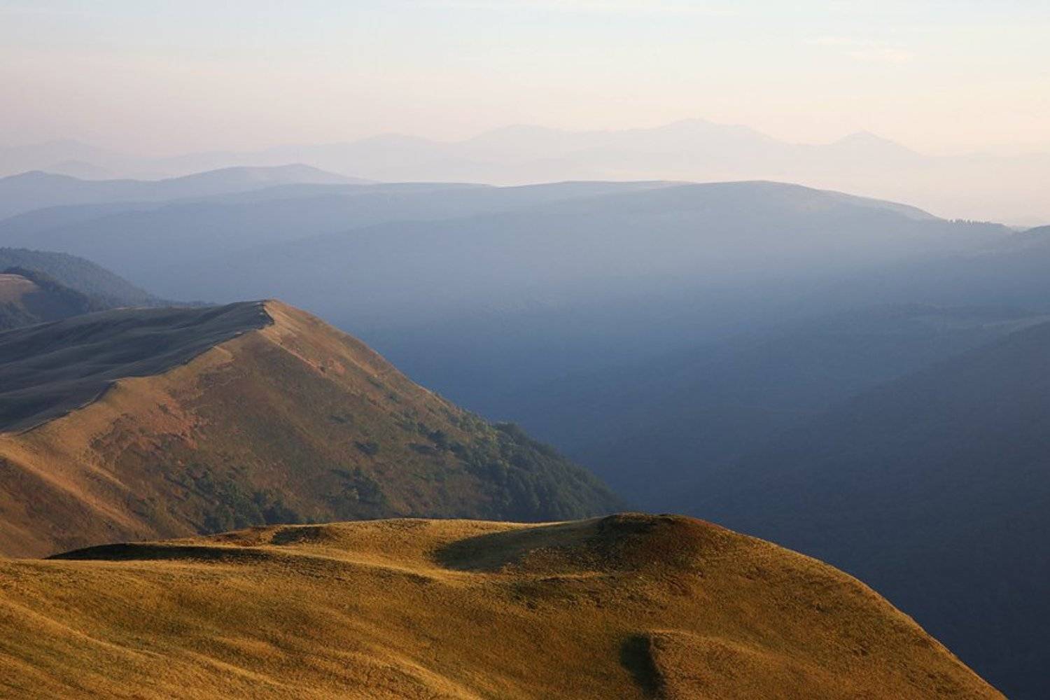 карпаты, Тарас