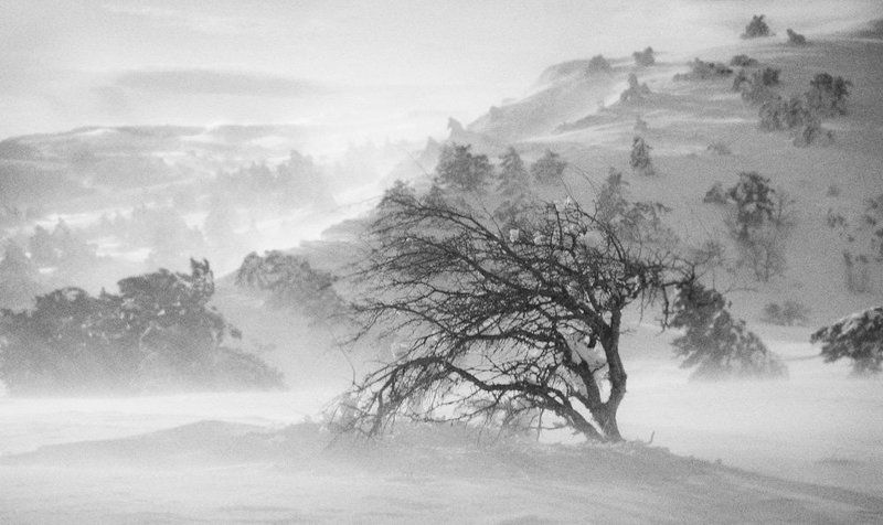 ветерphoto preview