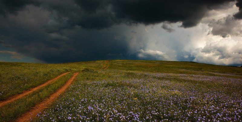 Когда цветет украинская степь.photo preview