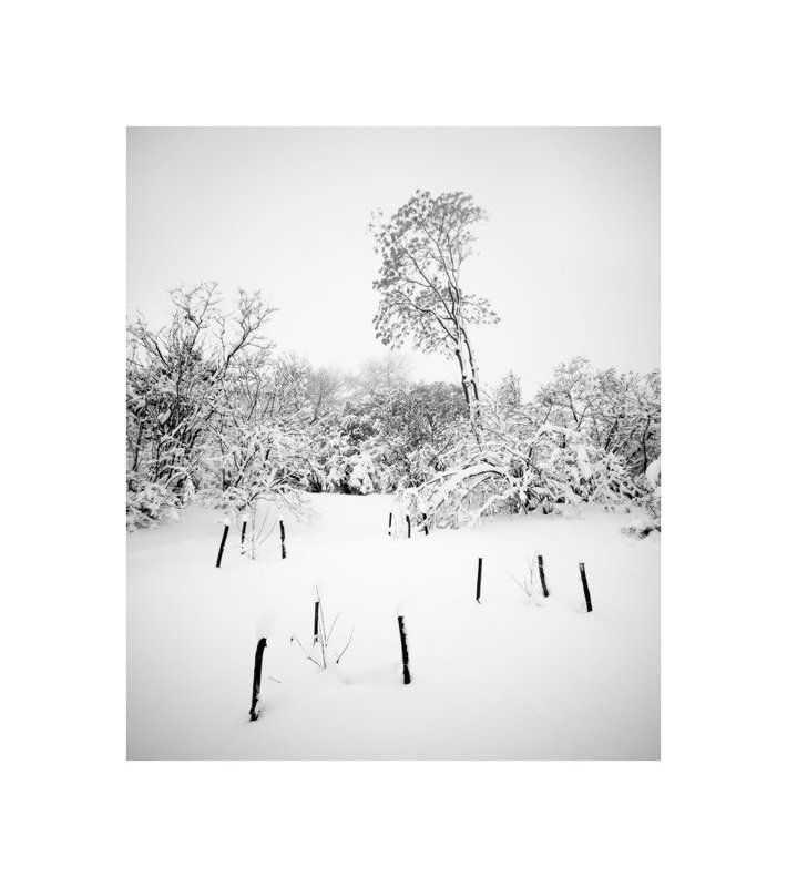 пейзаж, природа, зима, панорама || | | || | | |photo preview