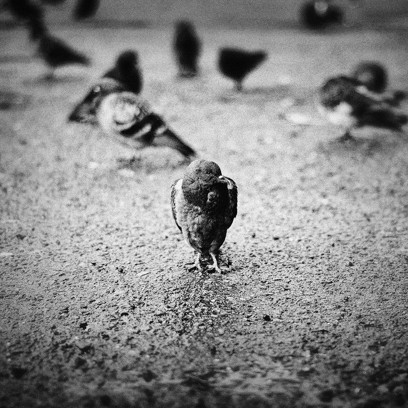 Вселенный замыселphoto preview