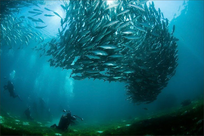 на_фсю_голову Пропащие фото превью