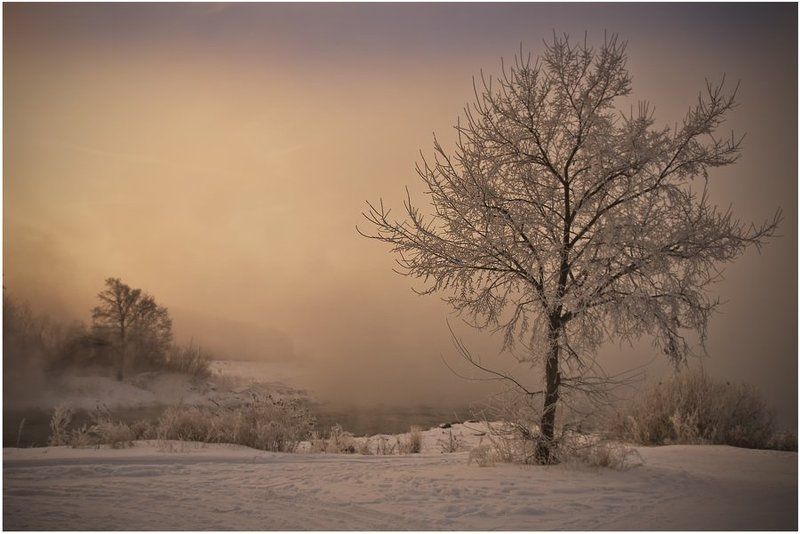 СИРОТА...photo preview