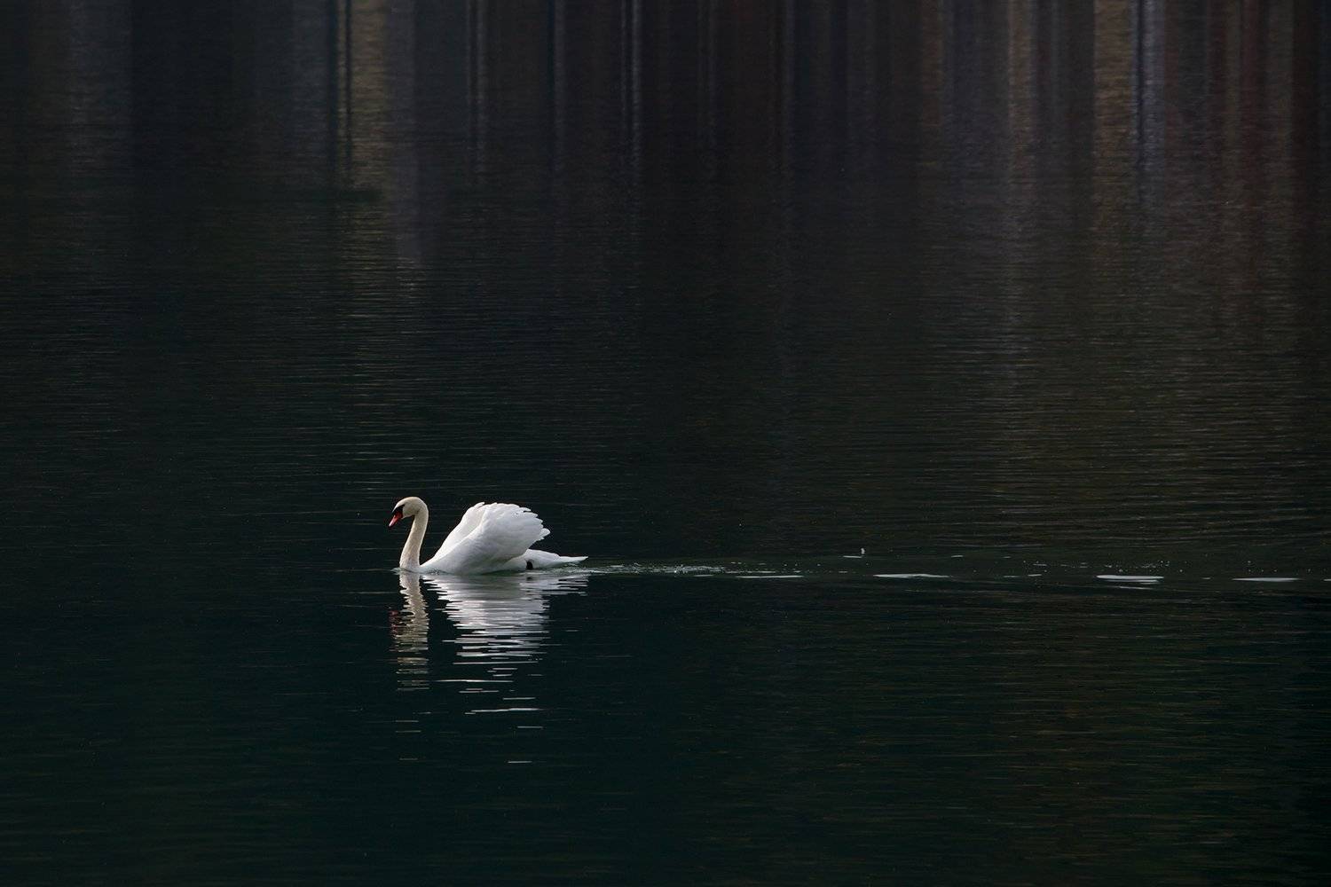 Автор: Игорь Дубровский , Игорь Дубровский