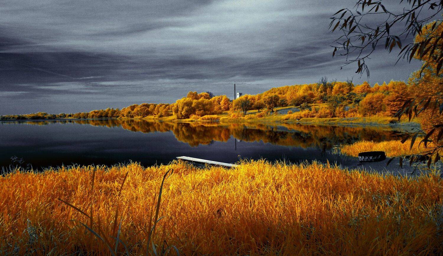 infrared,ик-фото,инфракрасное фото, инфракрасная фотография, пейзаж, осень, беларусь, Sixten ( Сергей )