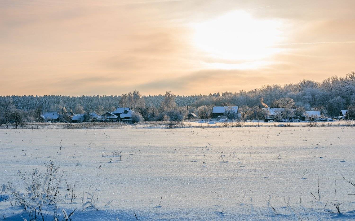 зима, деревня, лес, мороз, иней, Руслан Востриков