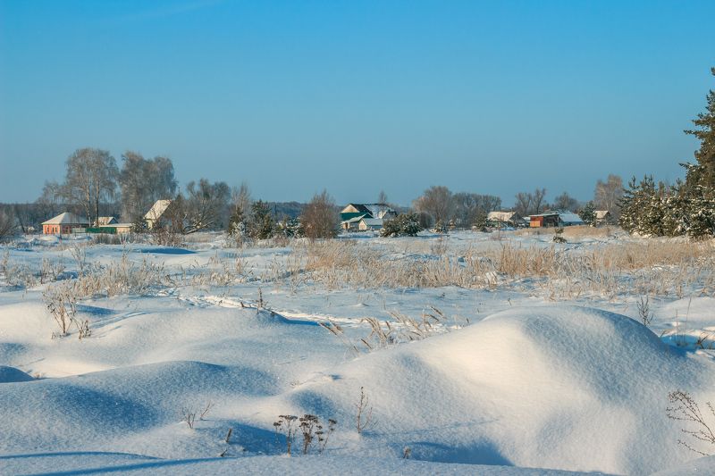 зима, деревня, иней, мороз photo preview
