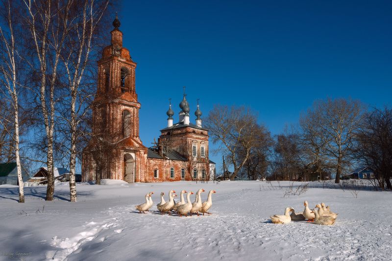 фототур, ивановская область, гуси, зима, снег, провинция, храм, церковь, 8 марта, международный женский день \
