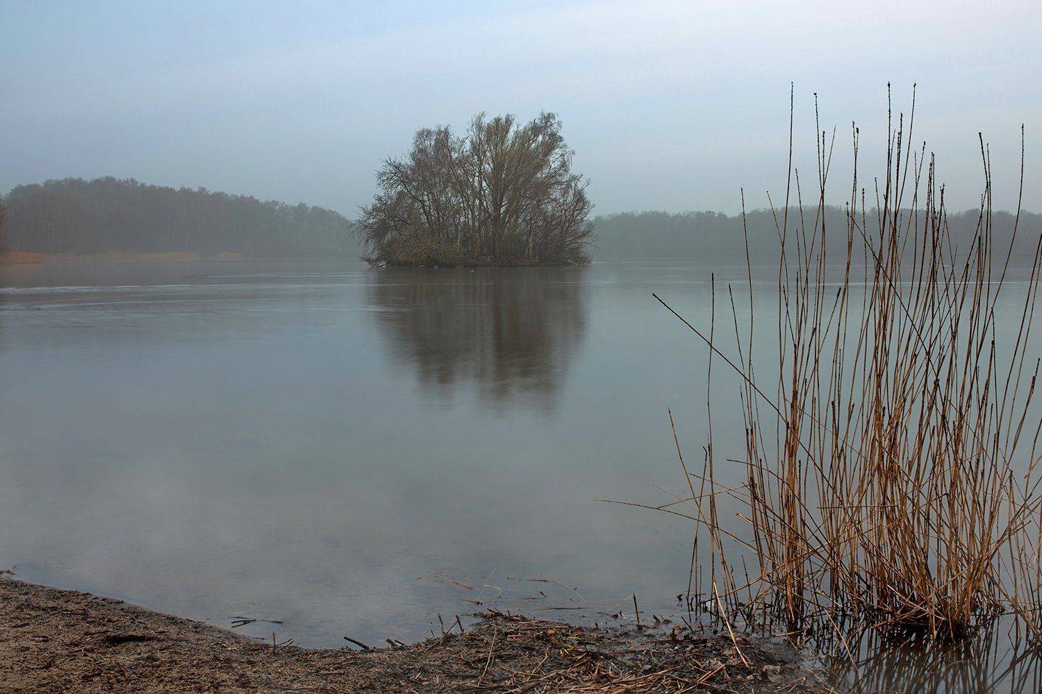 Автор: Игорь Дубровский , Игорь Дубровский