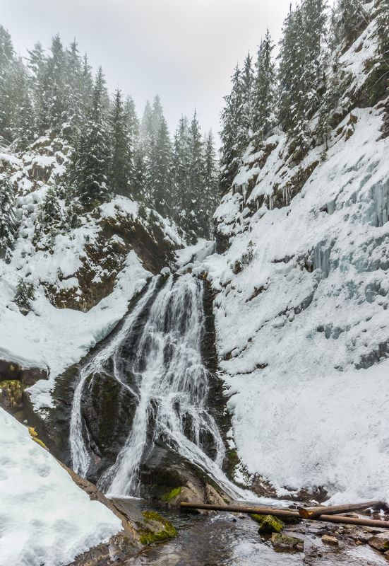 landscape winter mountains snow fog photography photo canvas wallpaper nature trees frame view waterfall Winter in the Vladeasa Mountains. photo preview