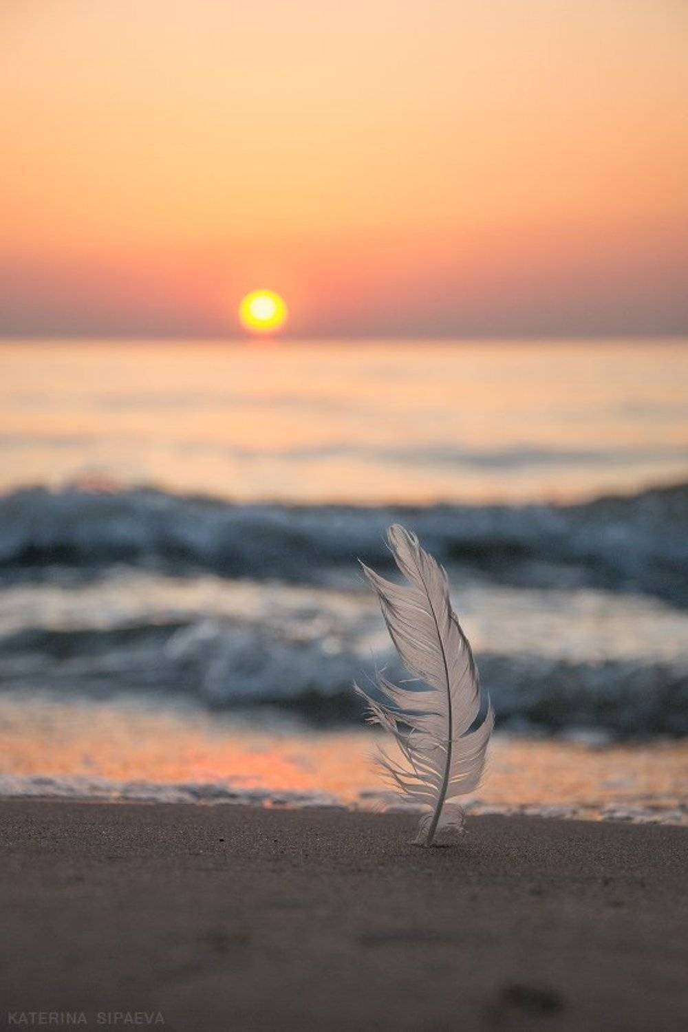 Парус. Автор: Сипаева Катерина балтийское море, пейзаж, закат, Сипаева Катерина