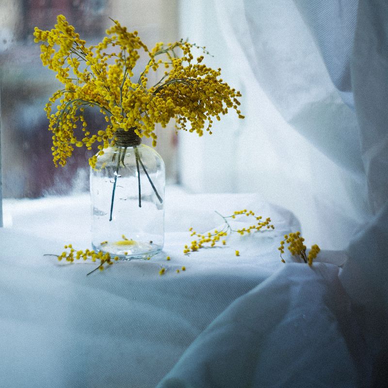 Начни сначалаphoto preview