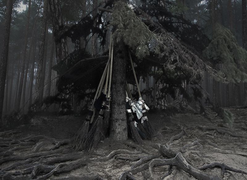 метла, лес, шабаш, фото на телефон, юмор, Parkingphoto preview