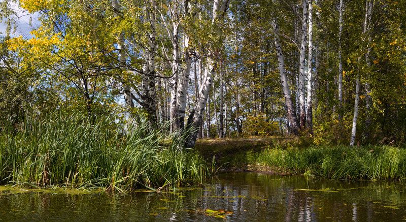 Стёжира. Дельта. Начало осениphoto preview