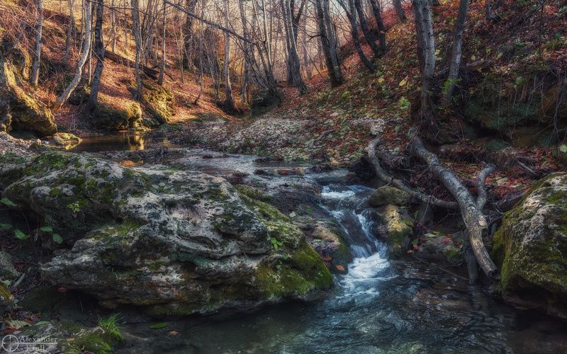 Утро у лесного порожка...photo preview