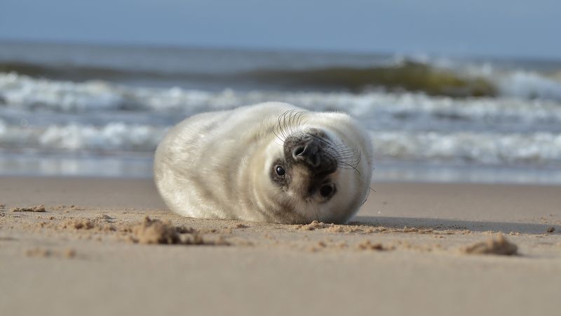 Hello, is it me you\'re looking for?photo preview