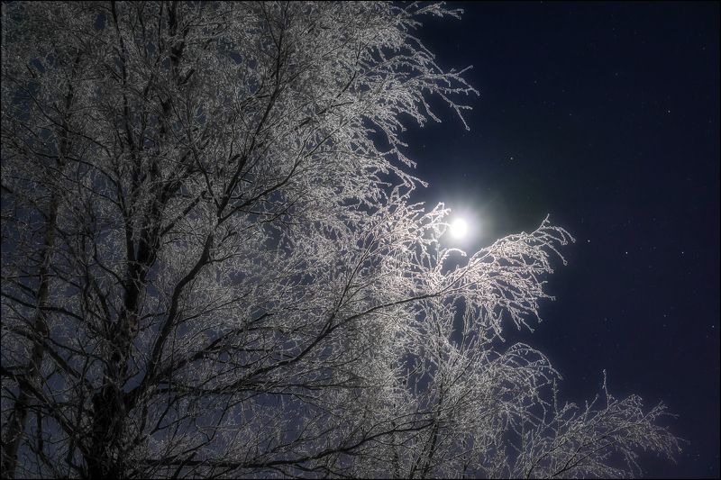 печора,ночь,луна В ночном свете Луныphoto preview