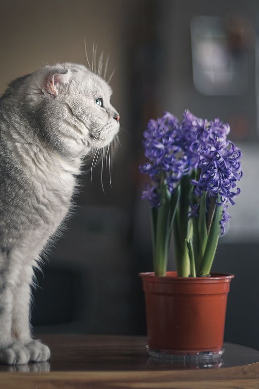 В ожидании тёплых деньков photo preview