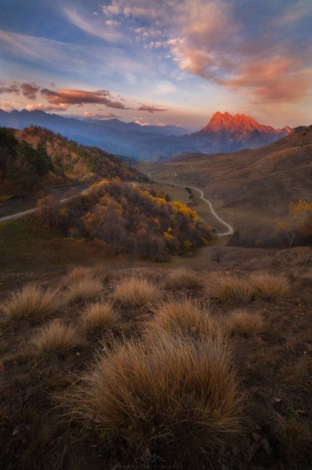 , Алексей Дранговский