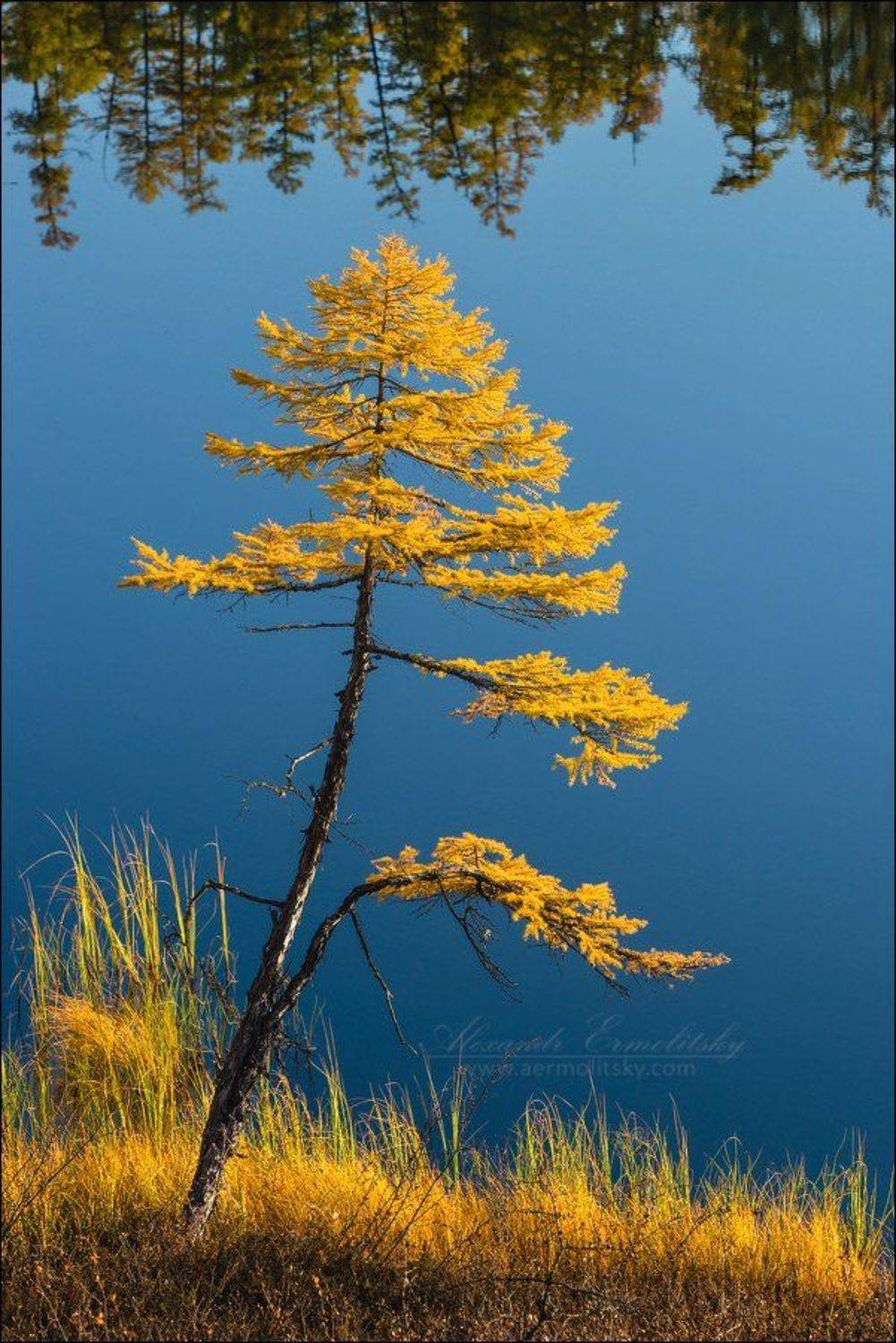забайкалье, Александр Ермолицкий
