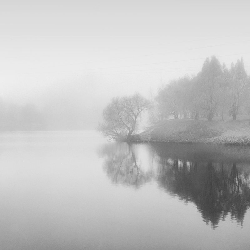 hasseldlad утро туман \