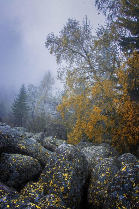 Autumn colorsphoto preview