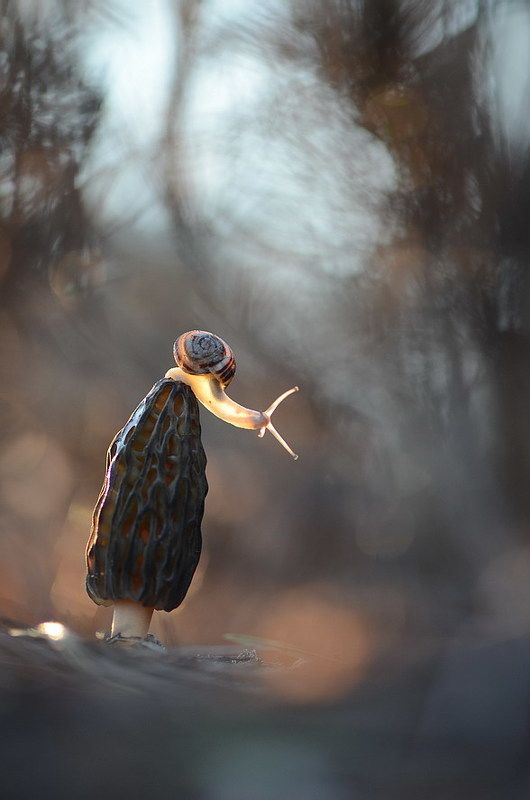 Ну снимай уже...photo preview