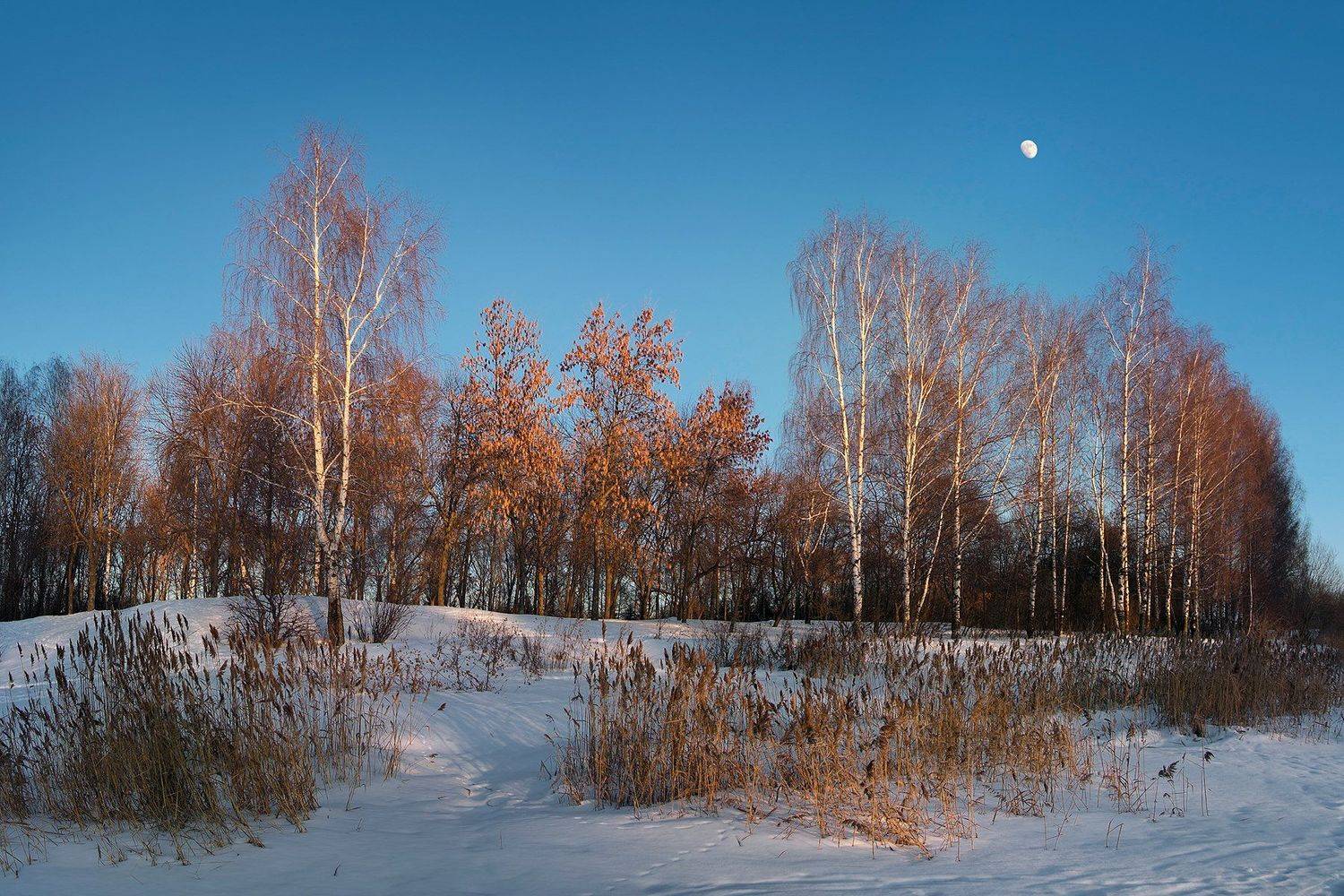 последний снег в лучах последних.... Автор: Сергей Хромов , Сергей Хромов