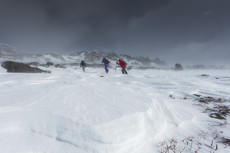 Только вперед!photo preview