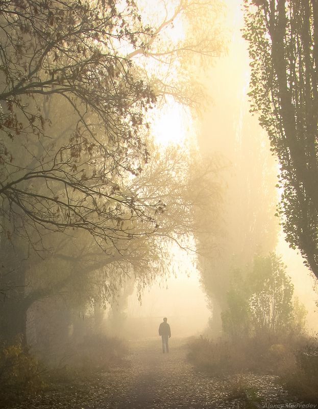 alexey, алексей, речка, ріка, річка, Медведев, Васильков, Васильків, Стугна, Vasilkov, Medvedev, viter, viterman	 Человек и осень фото превью