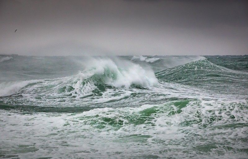 море,крым,пейзаж,шторм,россия,фототур,волна,волны,природа,севастополь Штормовое предупреждениеphoto preview