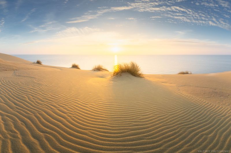 Рисунок природы.photo preview