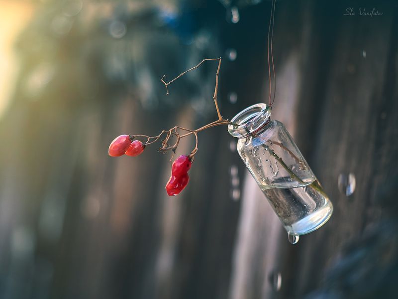 Март...photo preview