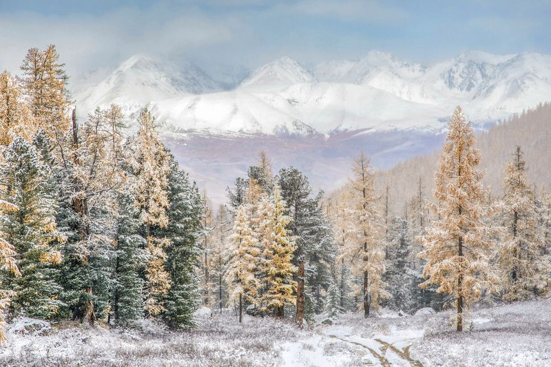 алтай,горы осень в горах фото превью