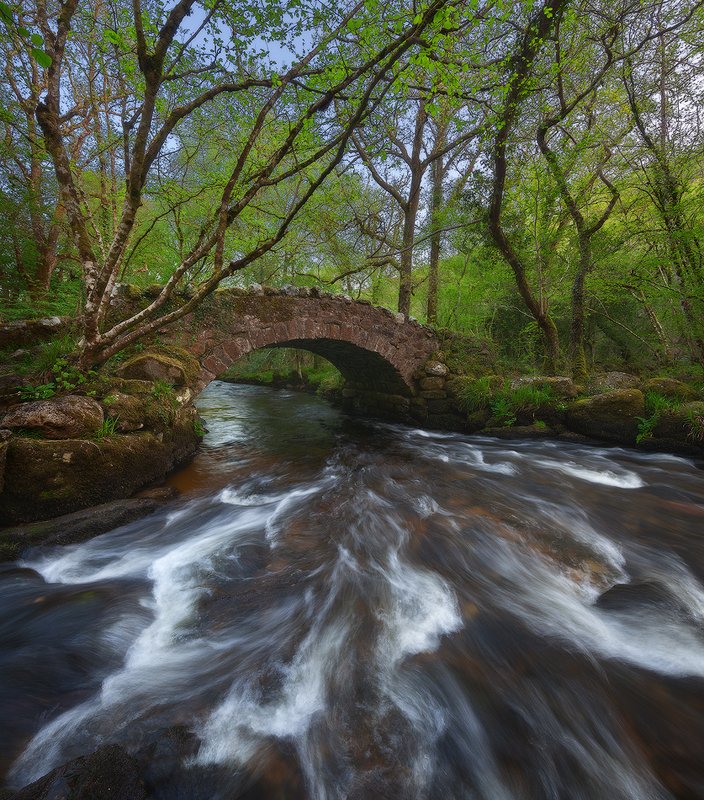 england, devon, dartmoor England. Devonphoto preview