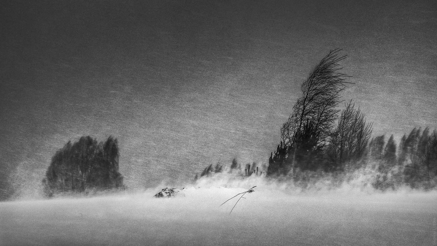 Автор: Евгений Луцко , Евгений Луцко