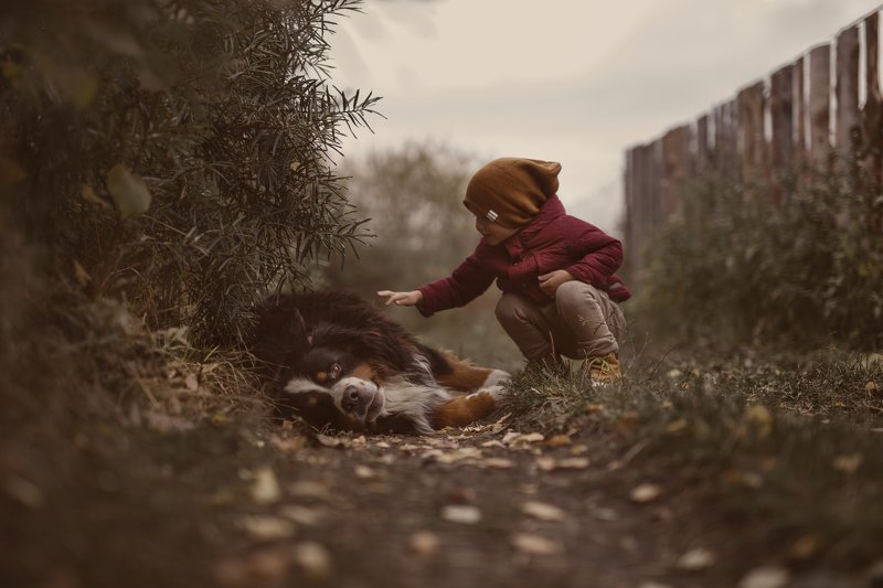 The story of friendship...photo preview