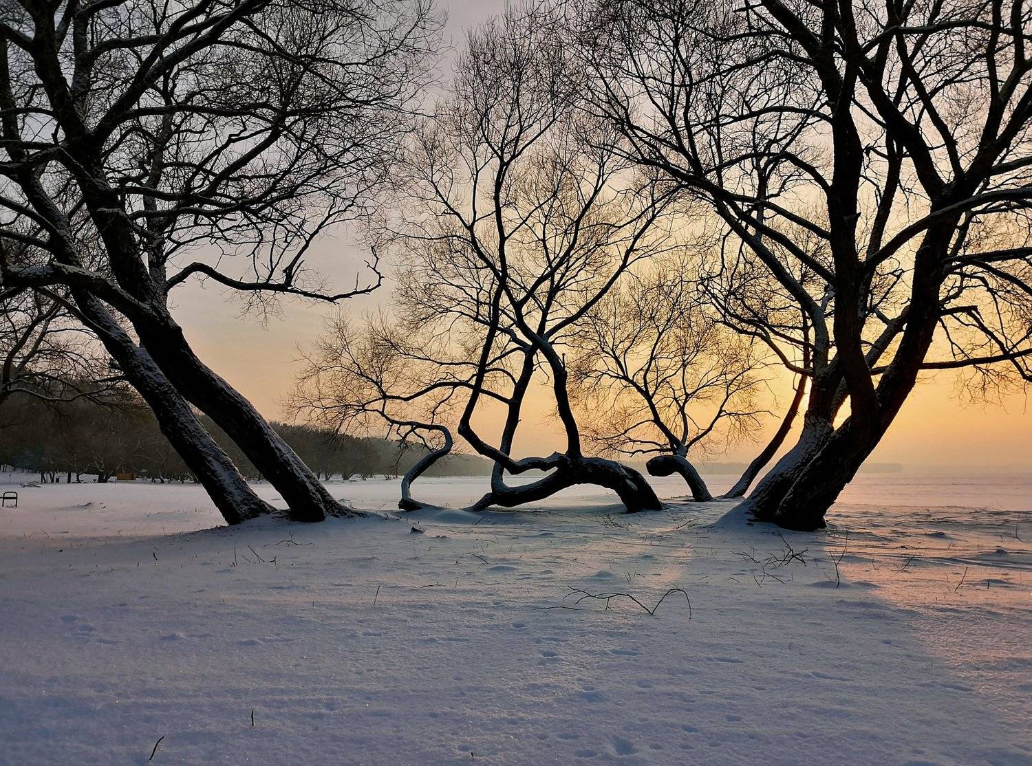 телефонофото , море , минск, Володя Демидчик
