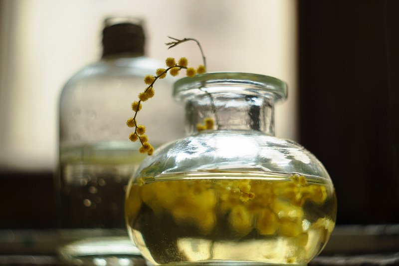 В янтареphoto preview