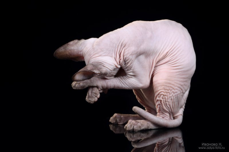 Уберите камеру, я без макияжа!photo preview