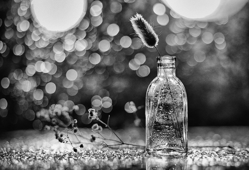 Простой натюрморт.photo preview