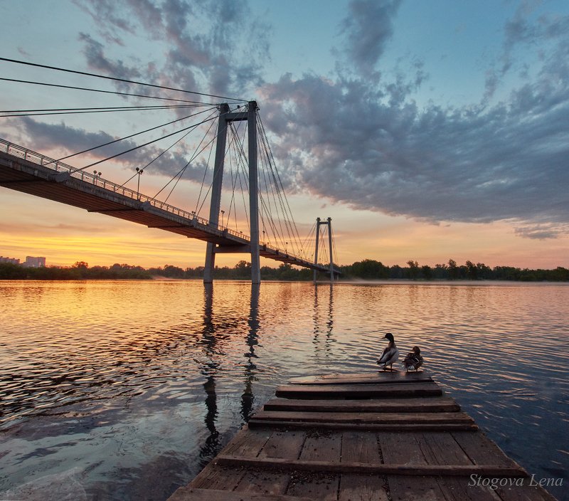 рассвет, мост Утки встречают рассветphoto preview