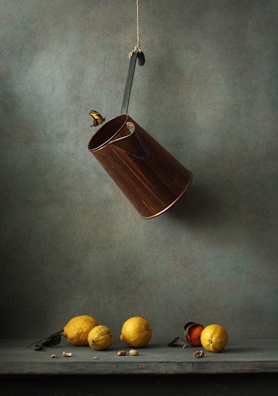 Кувшин, лимоны и бабочкаphoto preview