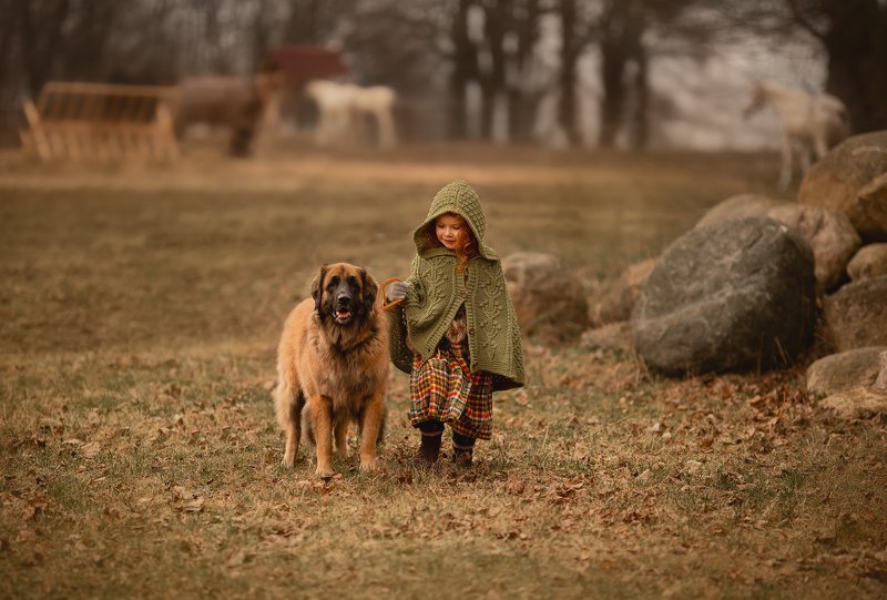 On the Irish countryphoto preview