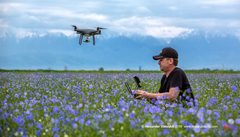 автопортретphoto preview