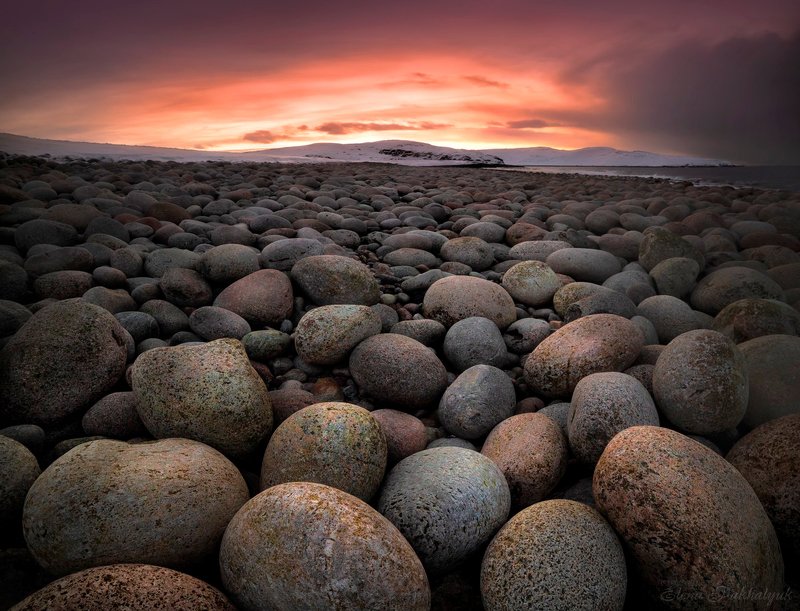 териберка,россия,кольский,пейзаж,закат,зима,солнце,облака,розовый,природа,море,океан,побережье Морские камешкиphoto preview
